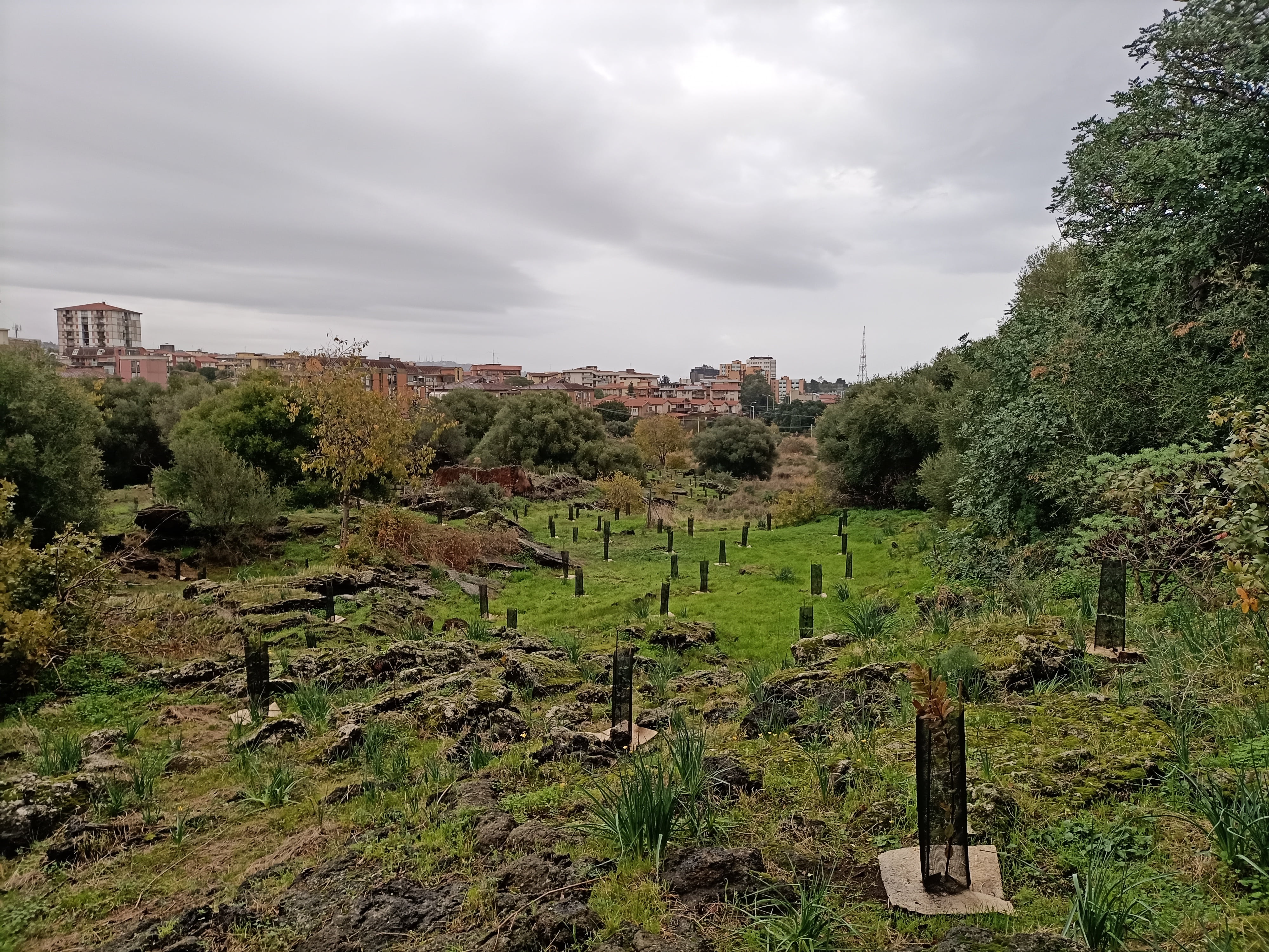 Parco degli Ulivi, San Nullo